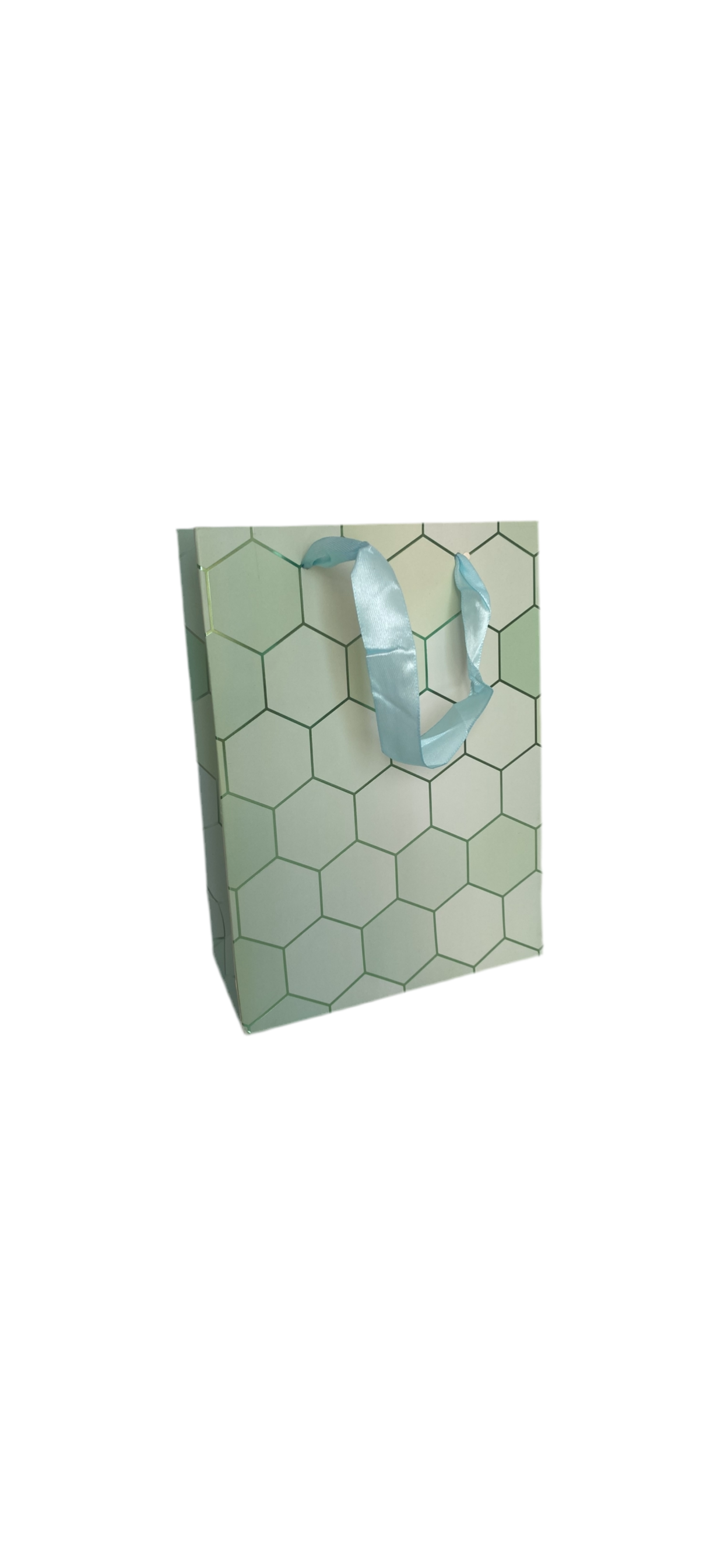 18x24x8.5 Cm Green Gift Bag