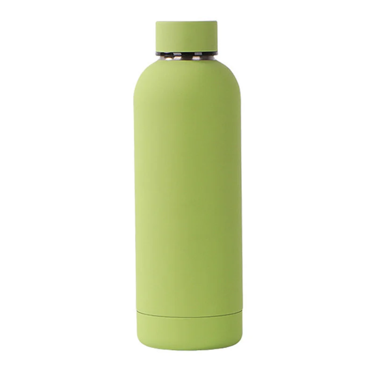 500 ml Stainless Steel Insulated Bottle