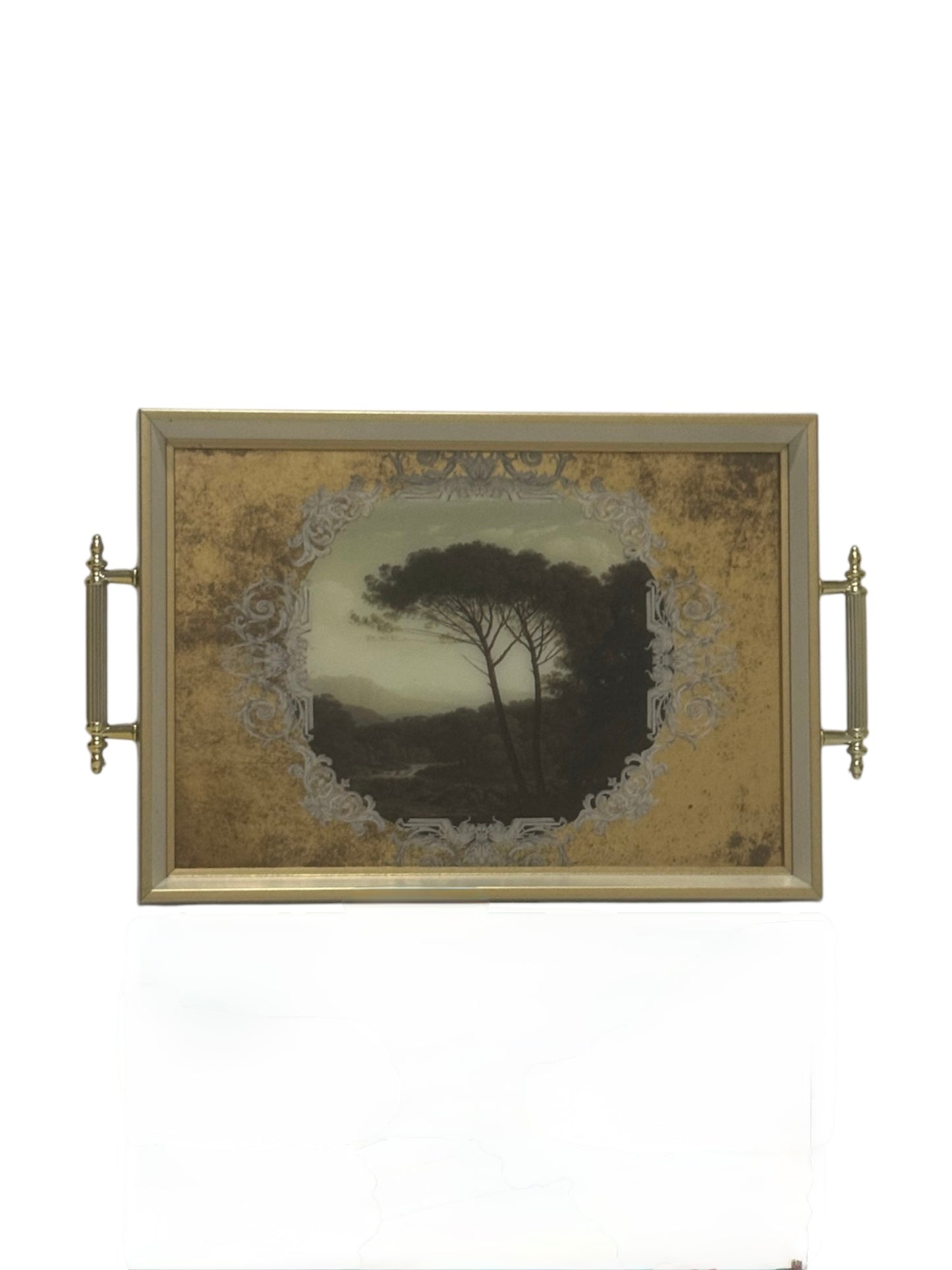 46x31cm Tray