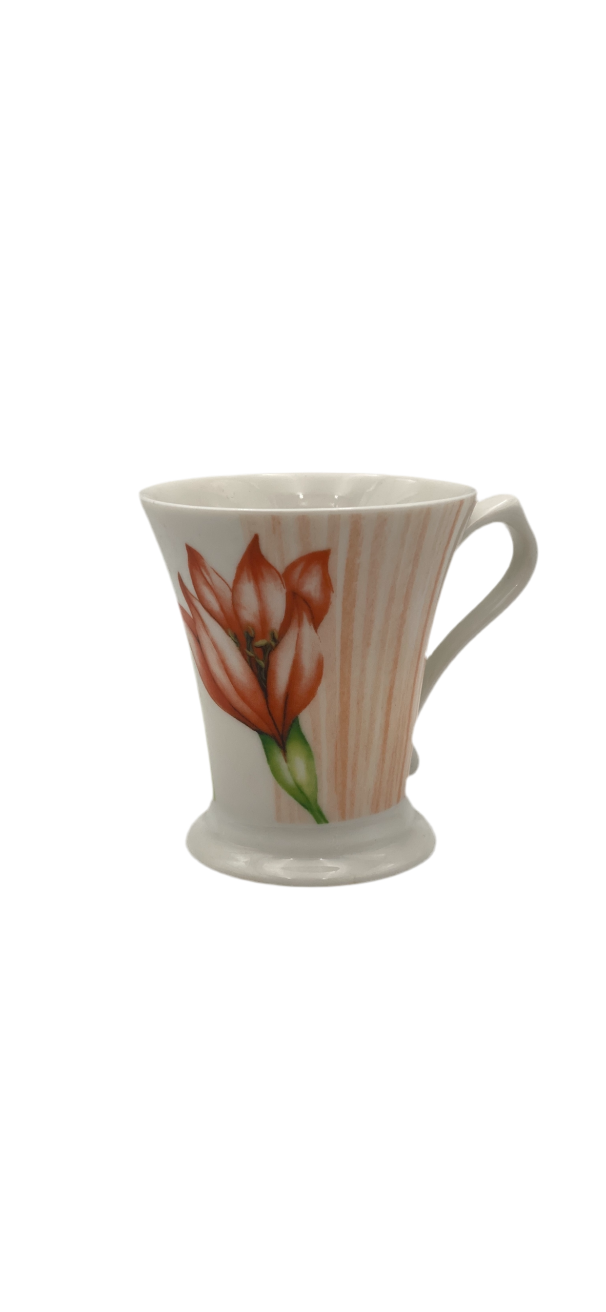 Porcelain Mug