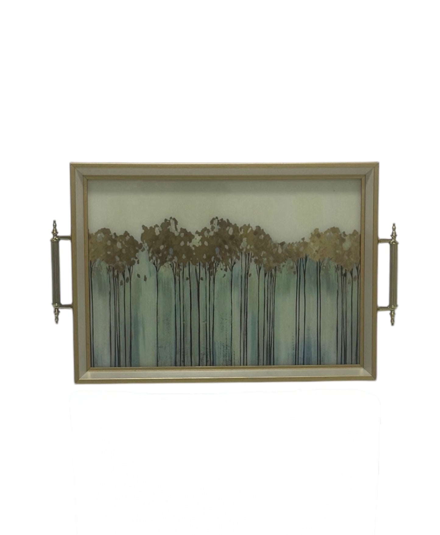 46x31cm Tray