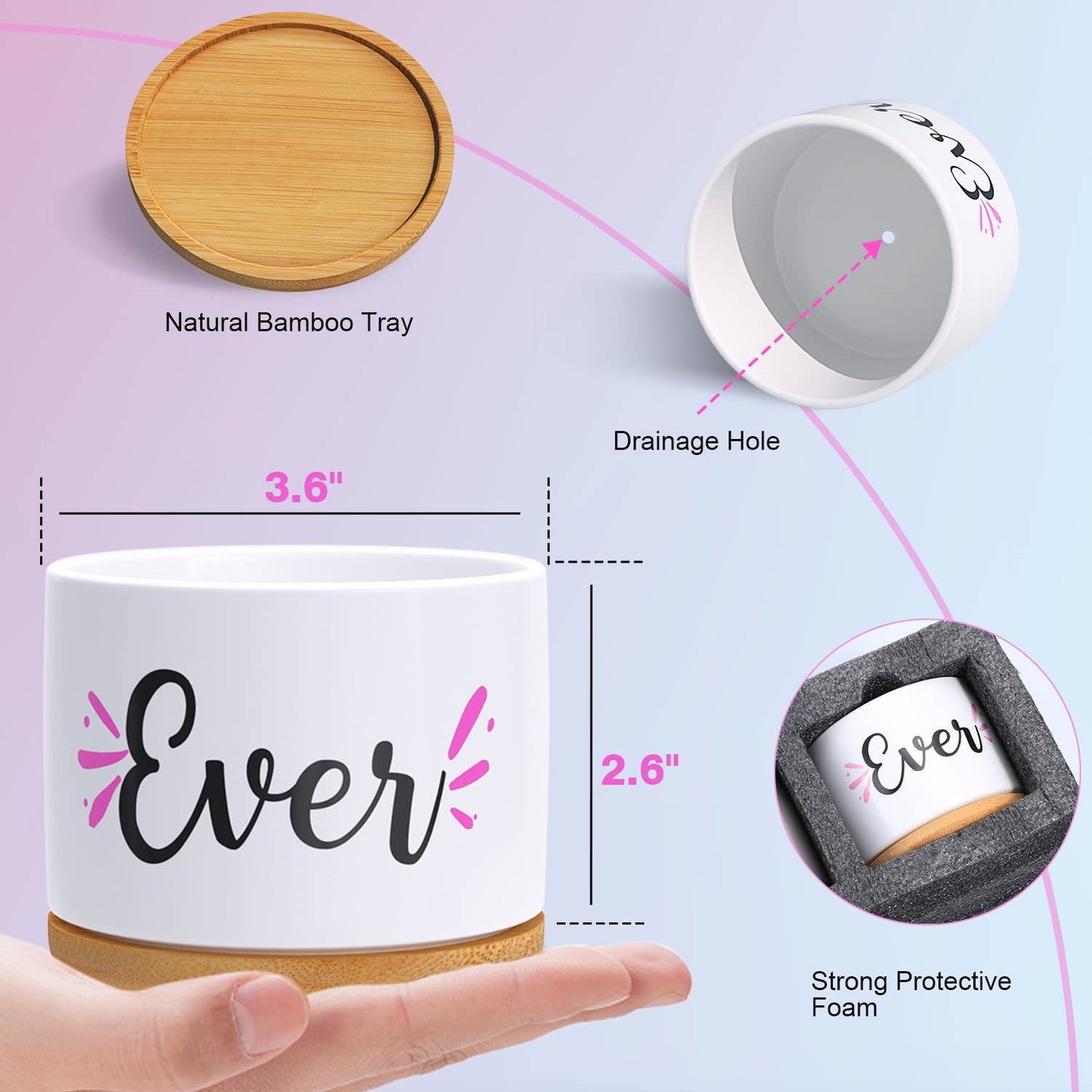 Flowers Pot “Best mom Ever”