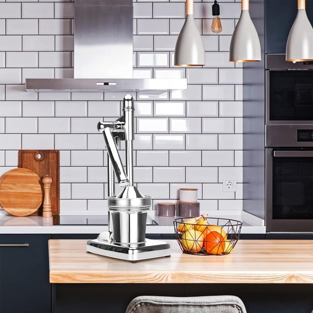 Stainless steel press juicer