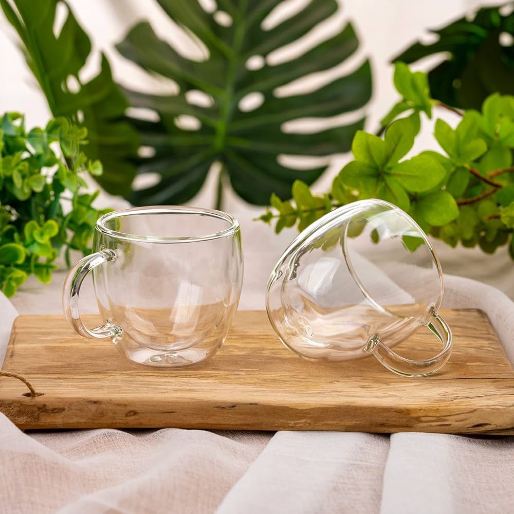 Double glass coffee cup