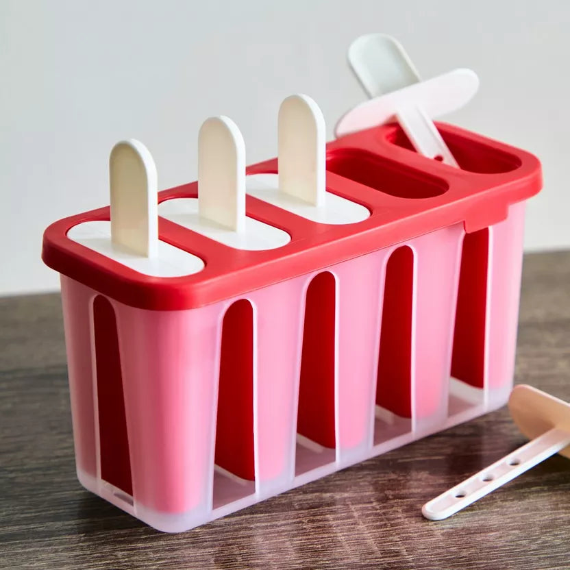 Ice cream moulds with sticks x 5