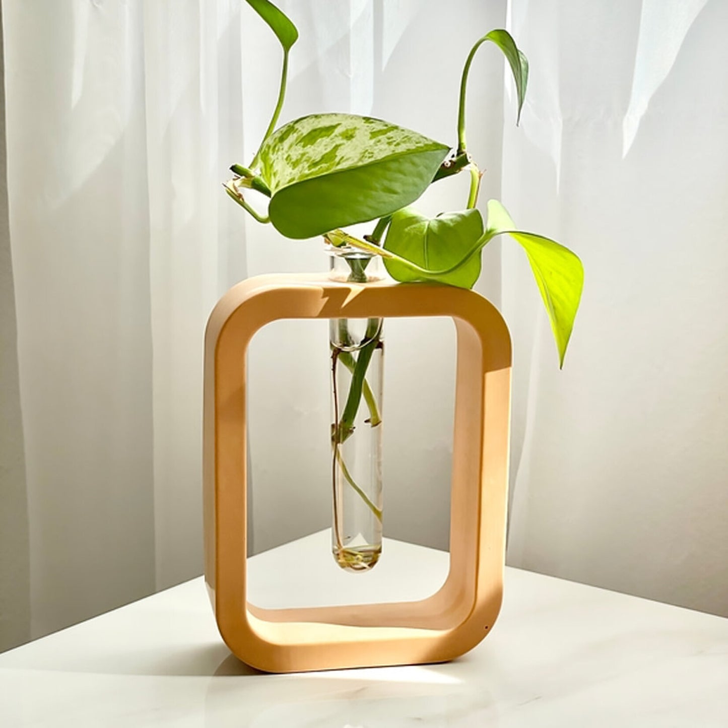 Glass tube vase with rectangular wooden stand