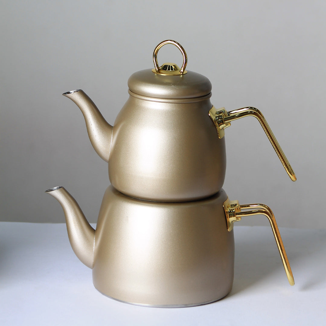 Stainless Steel Kettle with Pot