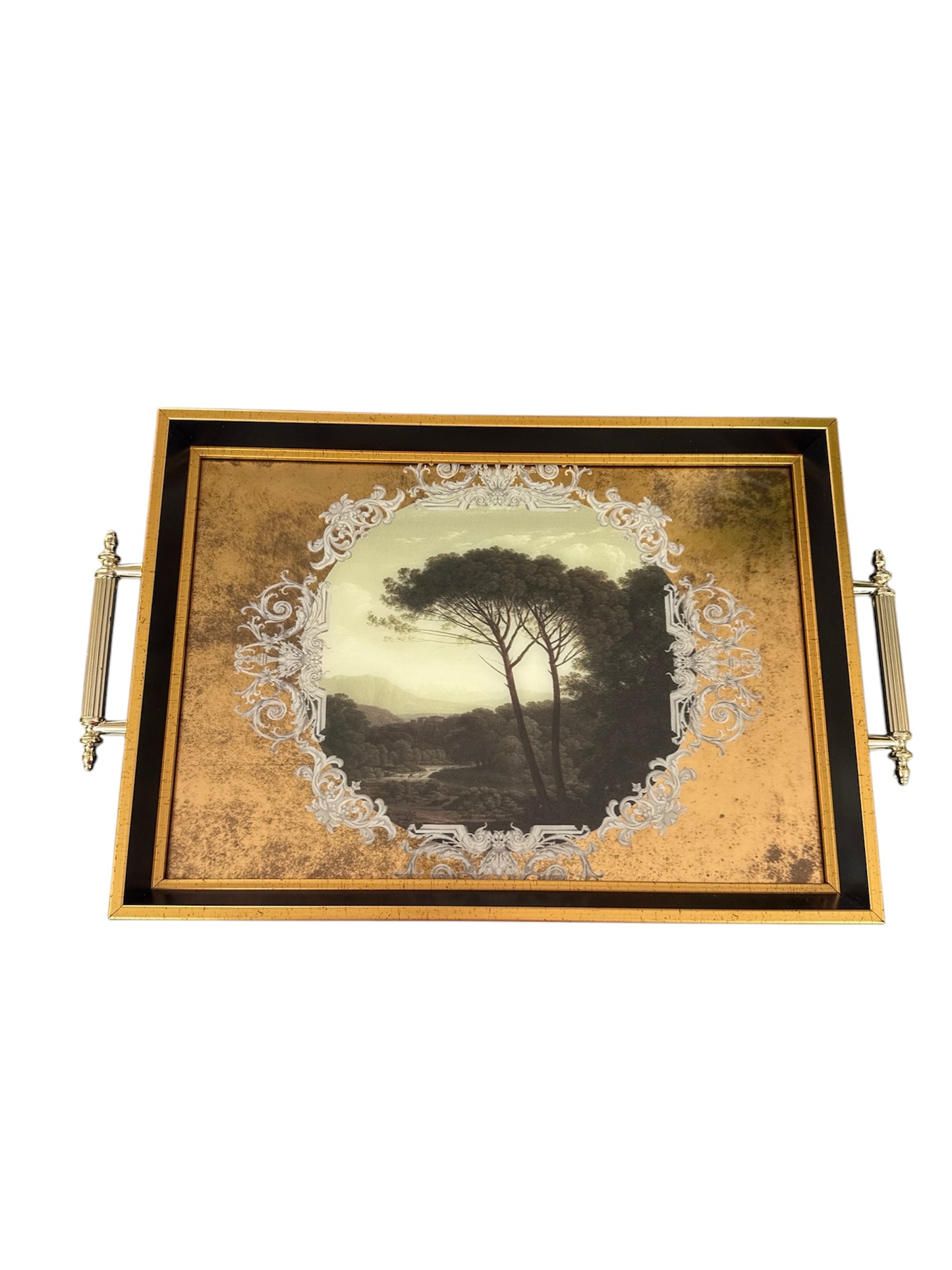 46x31cm Tray