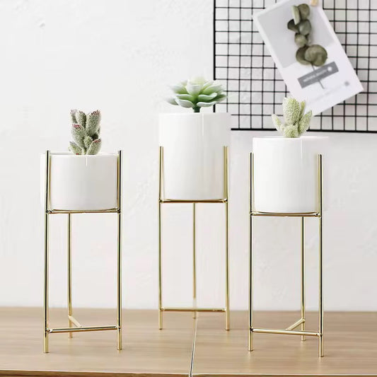 White and Gold Décor set of 3