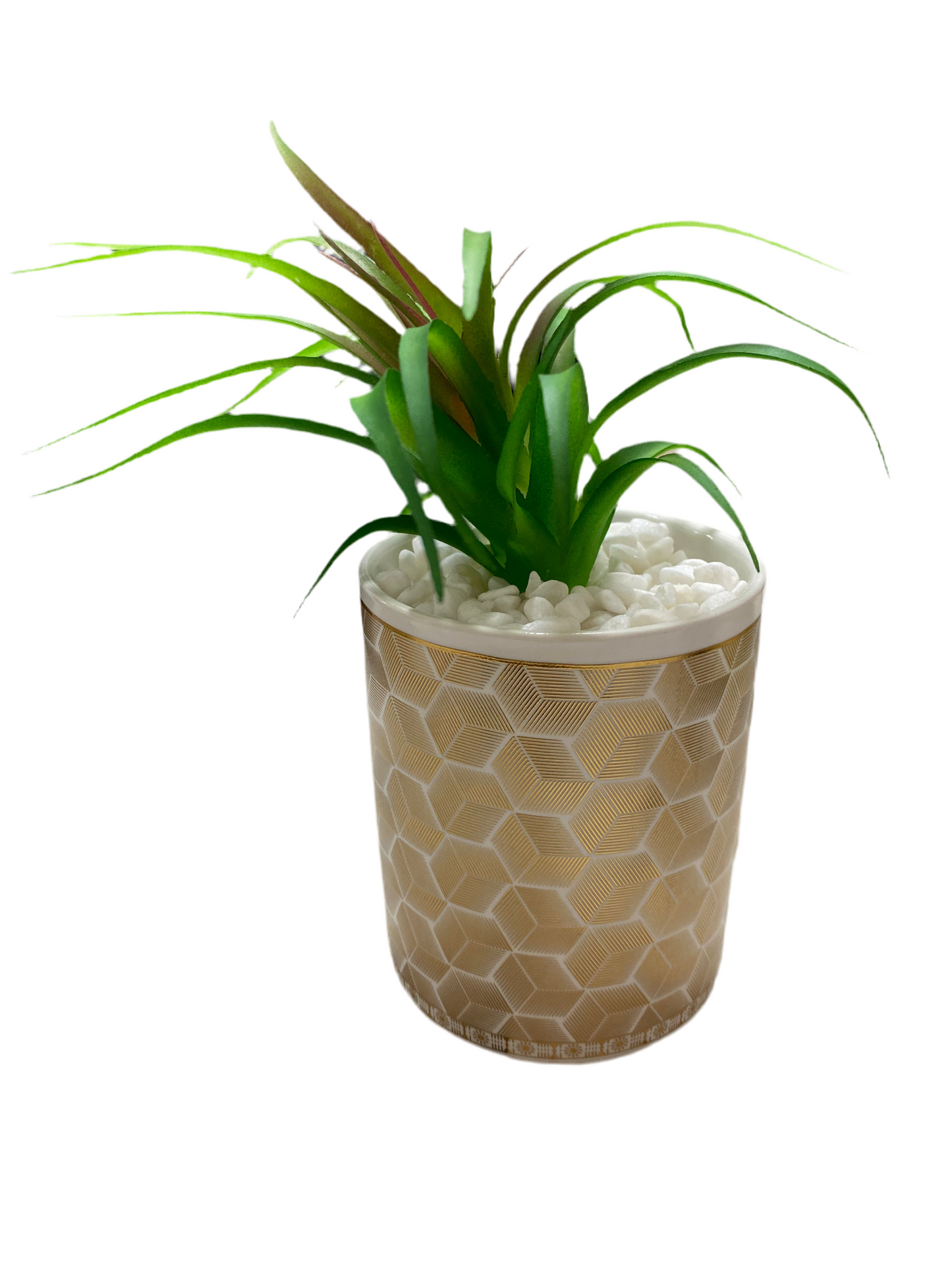 Artificial Plant / Ceramic Pot