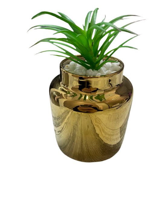 Artificial Plant/Ceramic Pot