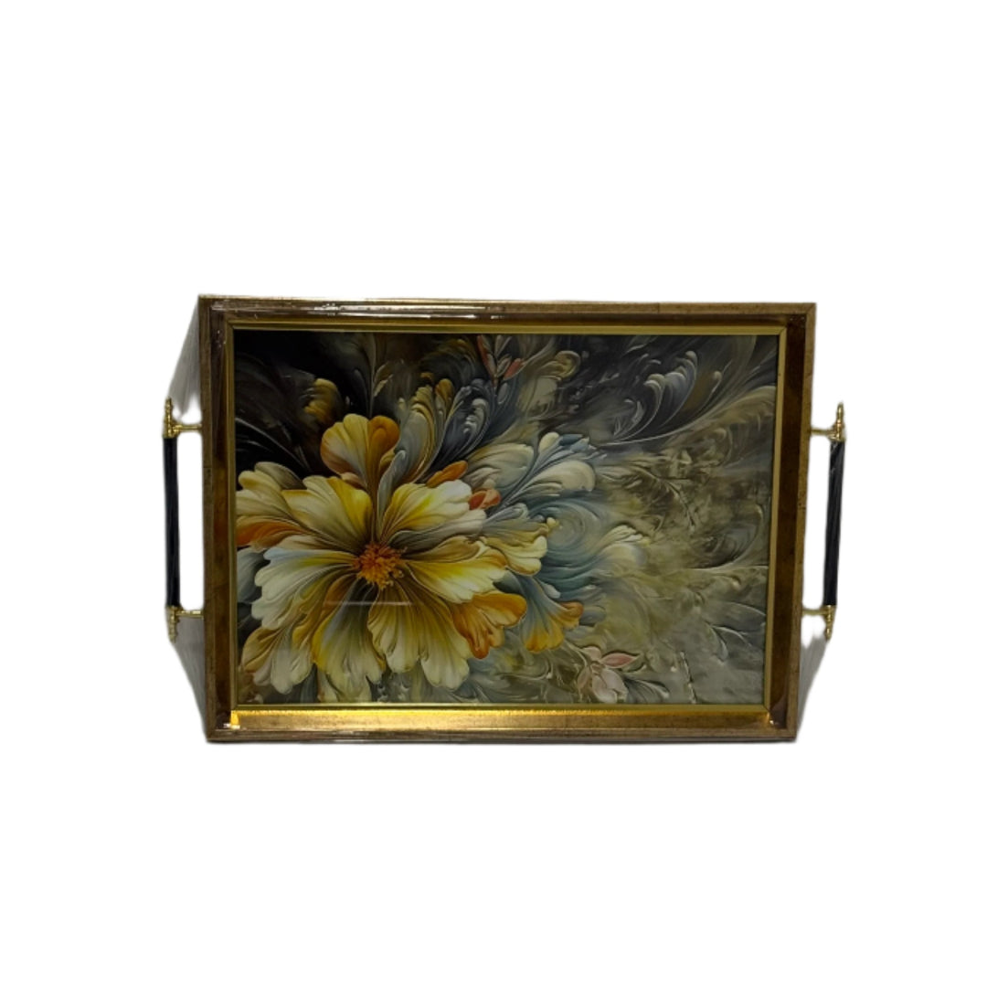 50x31x4cm Tray