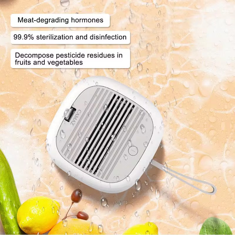 Fruits and Vegetables sterilizer