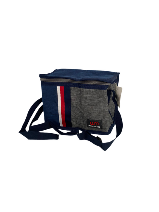 Small Cooler Bag