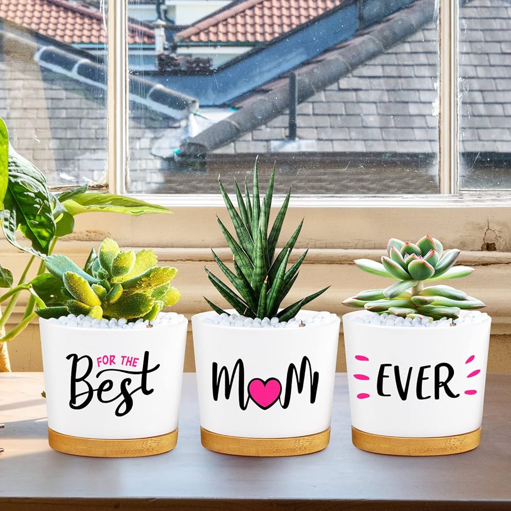 Flowers Pot “Best mom Ever”