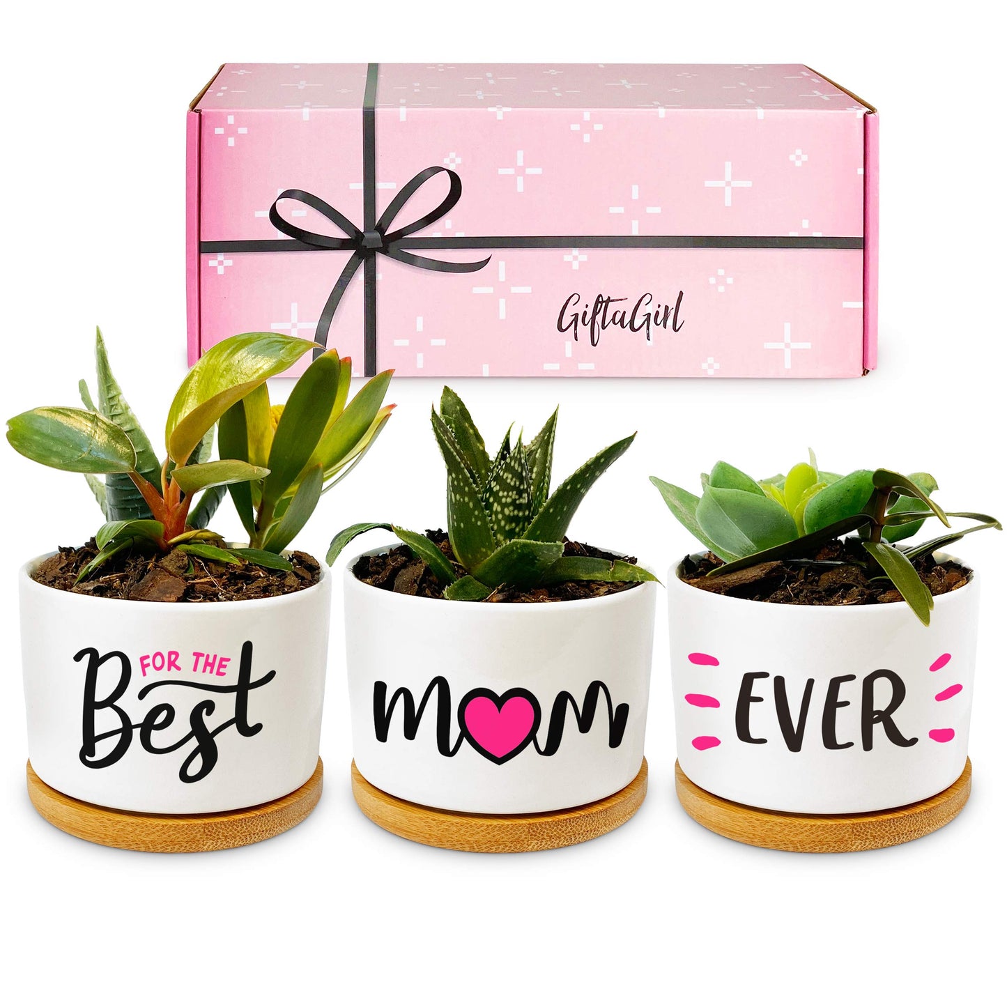 Flowers Pot “Best mom Ever”