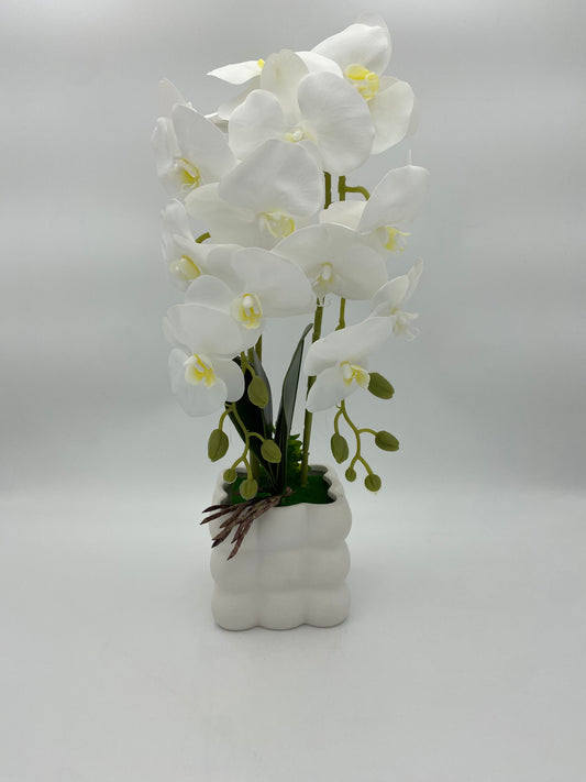 Flowers pot