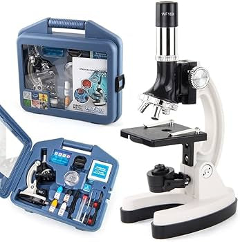 Microscope