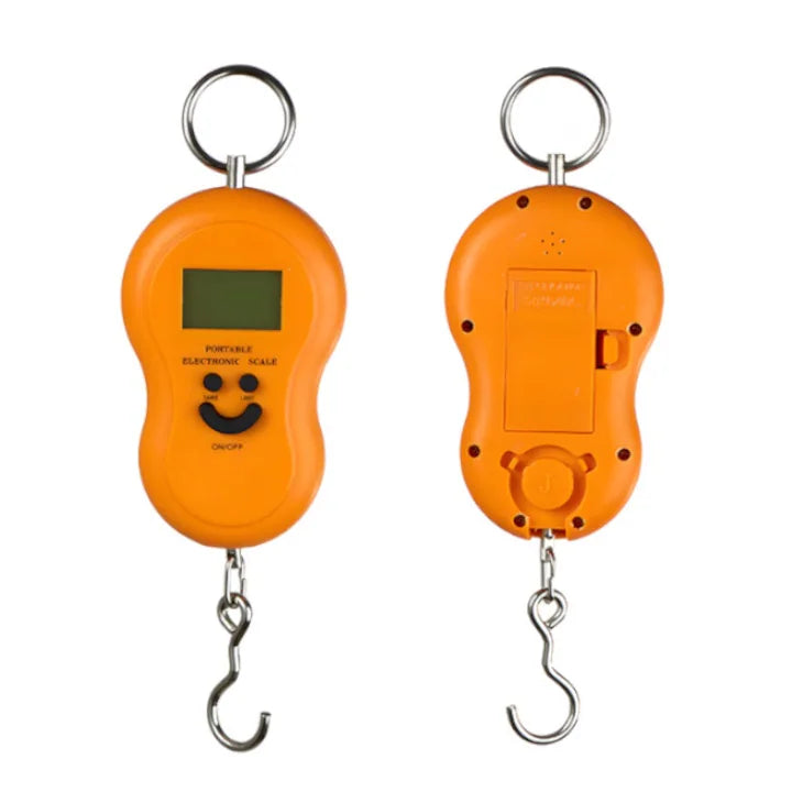 50kgx10g Portable Electronic Scale
