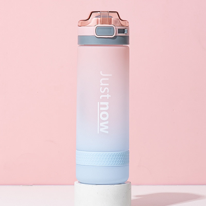 600 mL plastic water bottle with straw