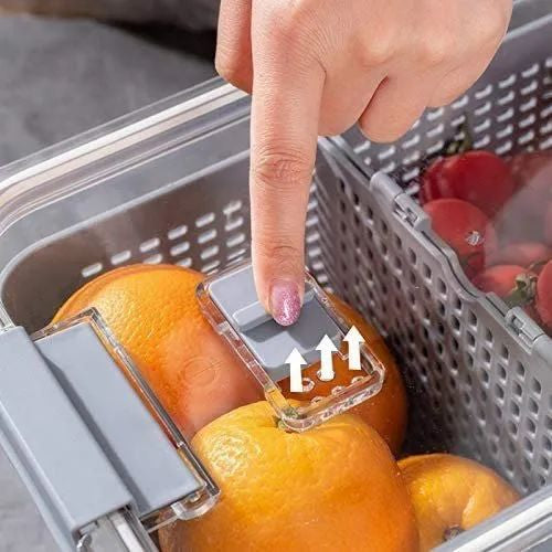 Style House, Rectangular Draining Storage Container
