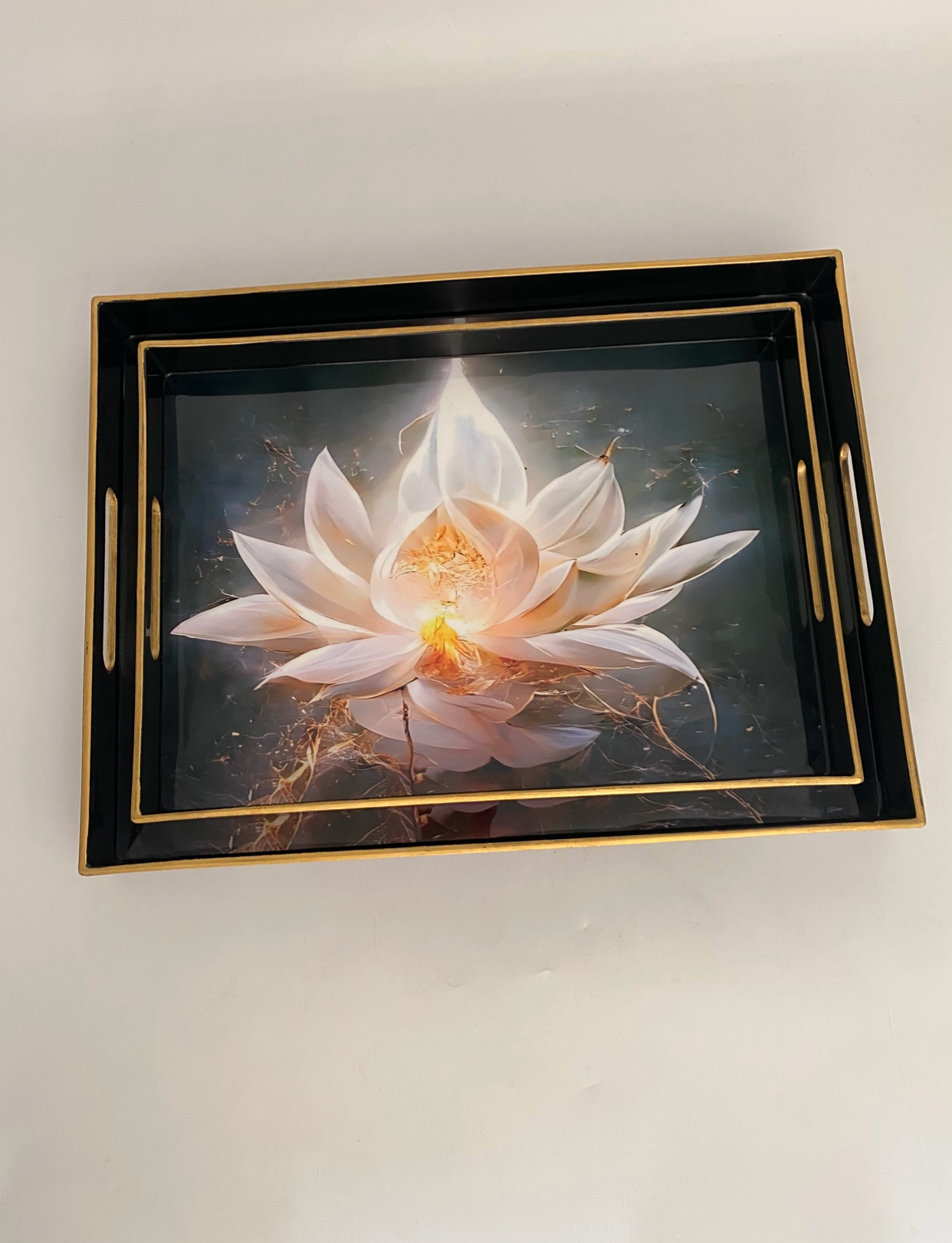 Phoenix, 2 pcs Plastic Tray Set