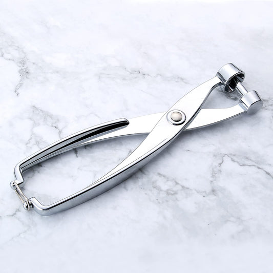 Stainless Steel Olive/Cherry Pitter Tool