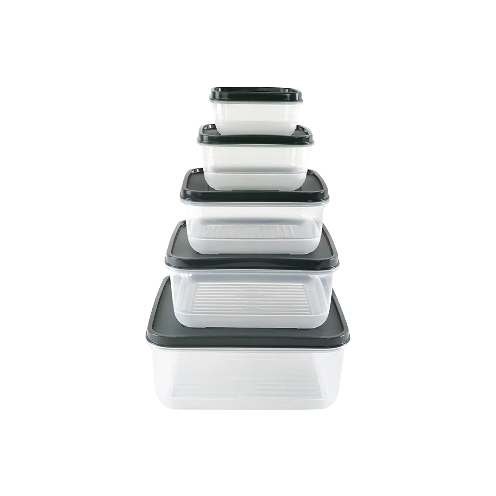 Freshlife , 5 Pcs  Rubby Square Storage Box Set