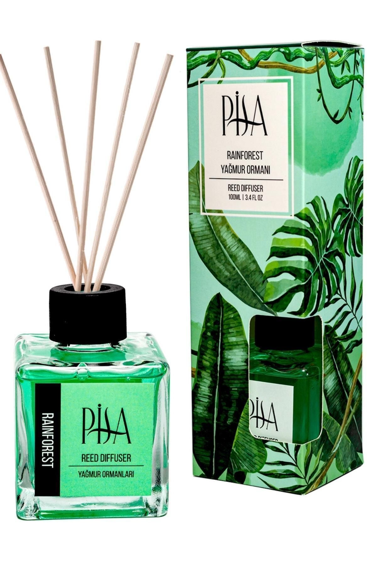 Pisa, Rainforest Reed Diffuser – Baytkon