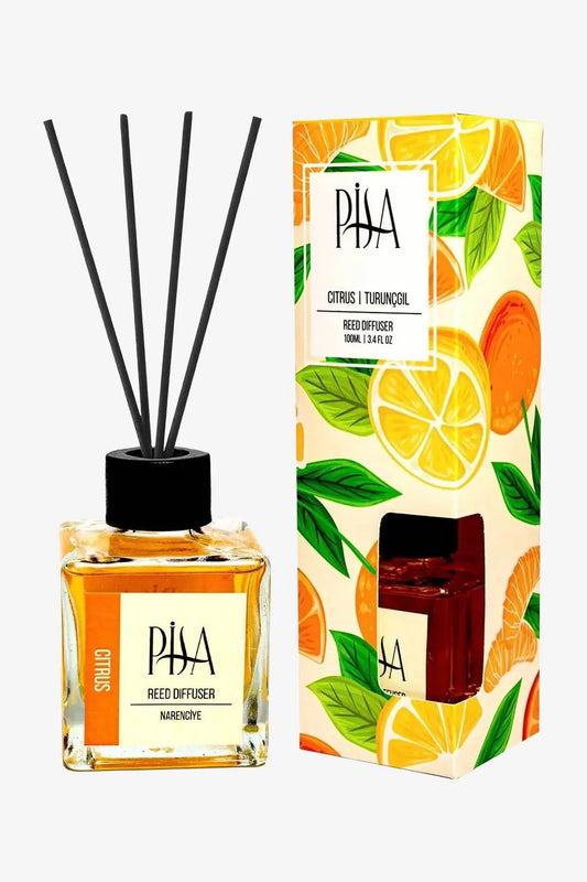 Pisa,  Citrus  Reed Diffuser