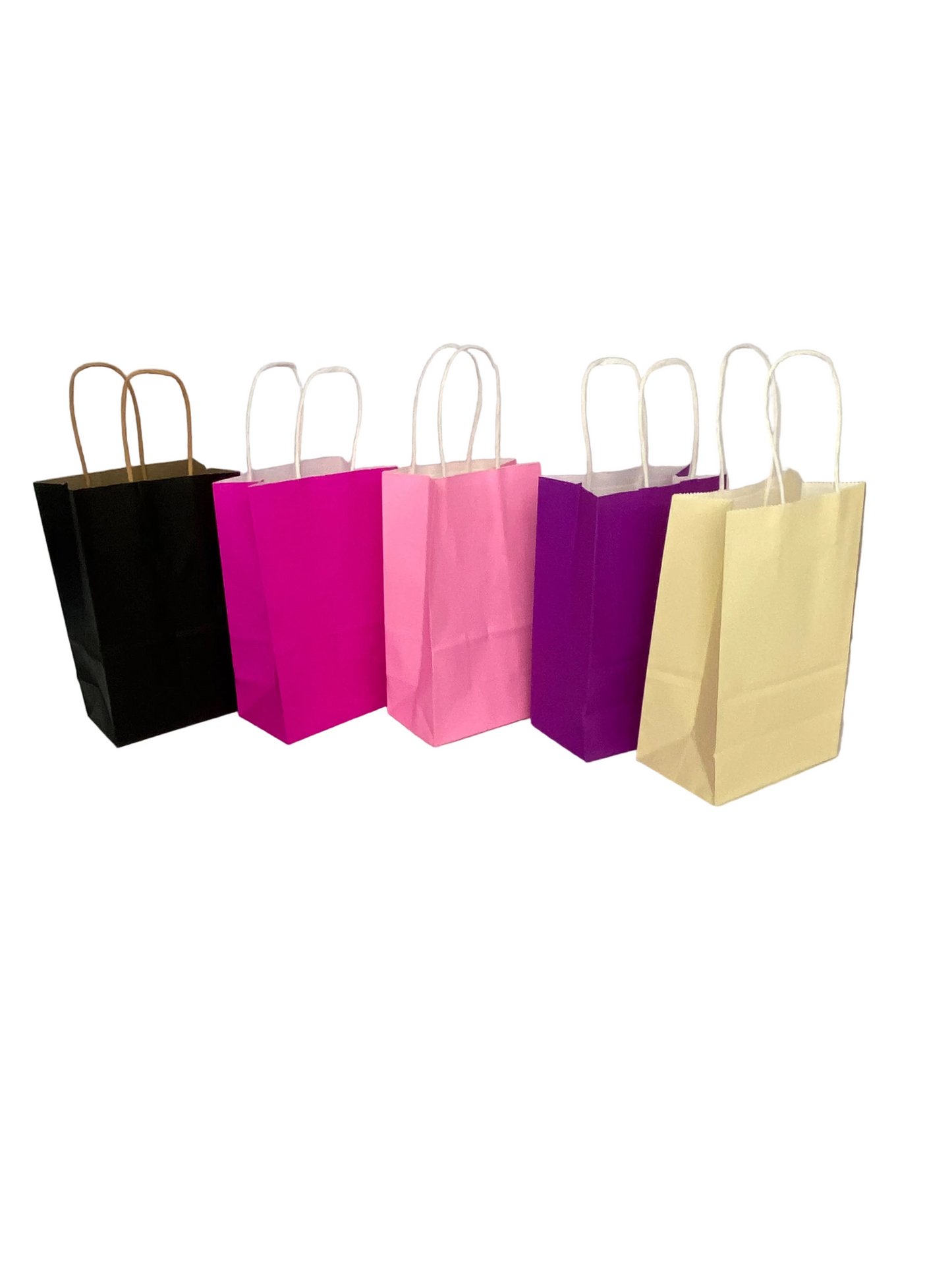 Large Paper Gift Bag