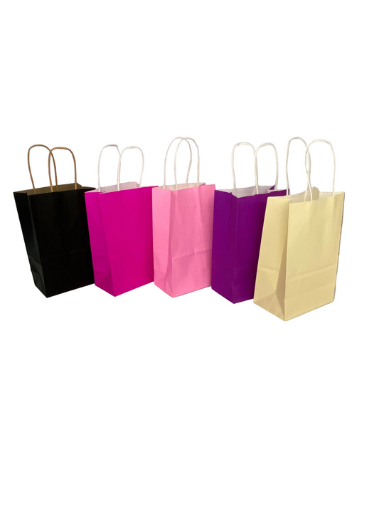 Large Paper Gift Bag