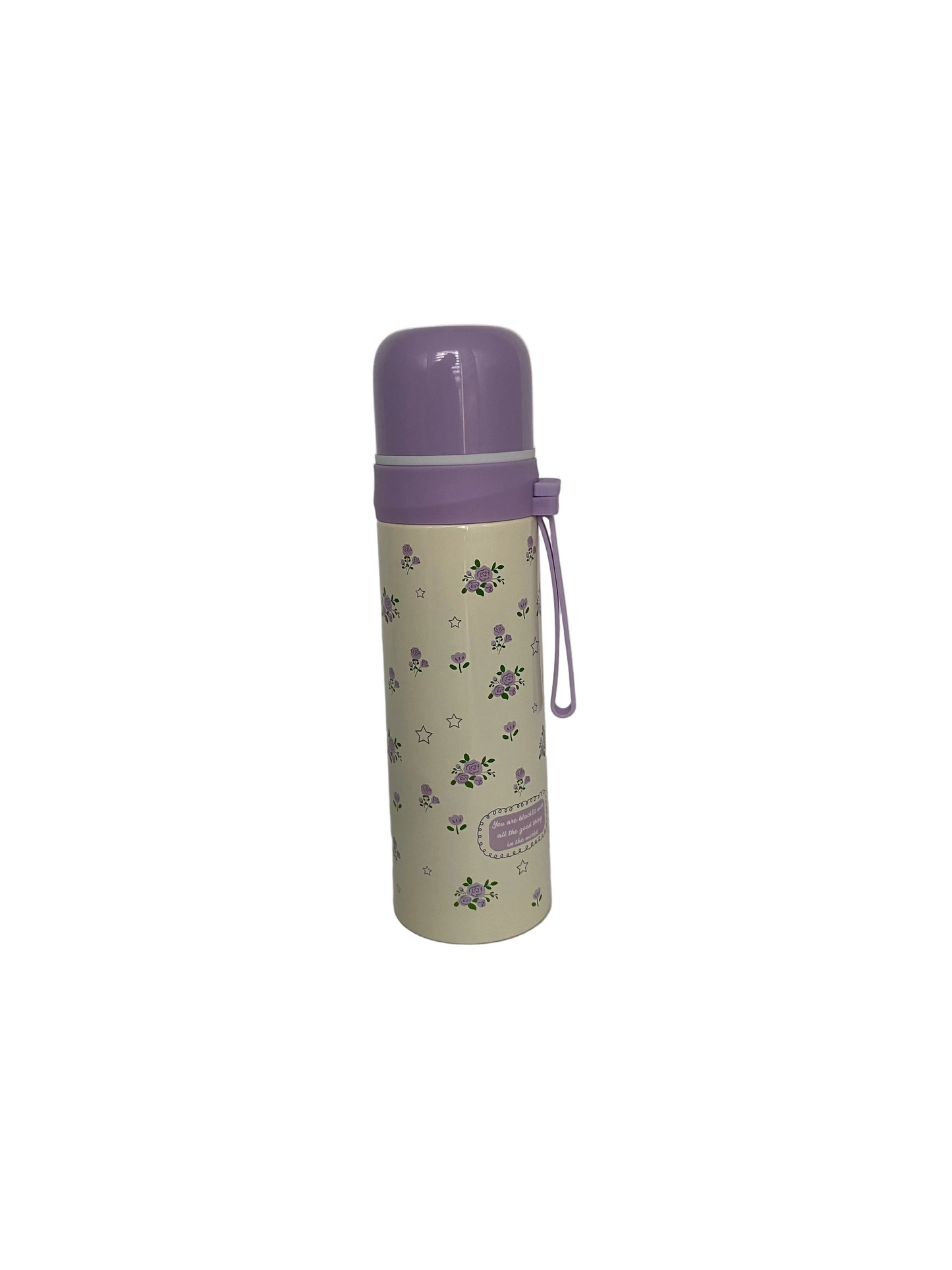 500 ML Stainless Steel Vacuum Insulated Bottle
