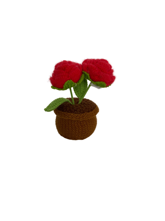 Crochet Flower Pot