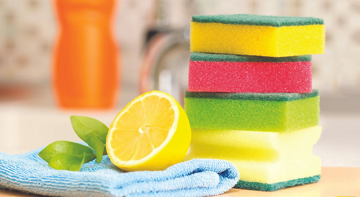 Larex, Cleaning Sponge (Pack of 5 )