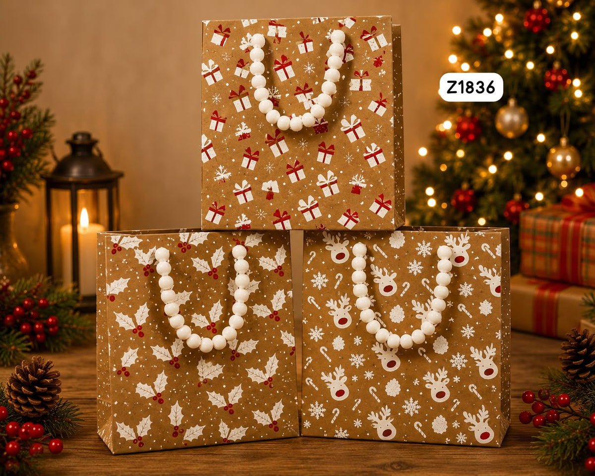 Christmas Gift Bag